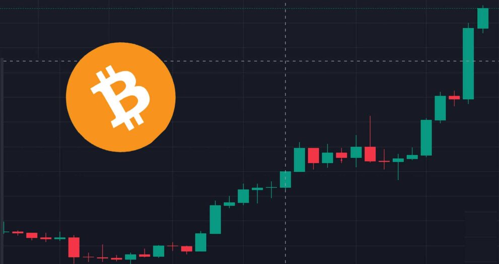 Bull run