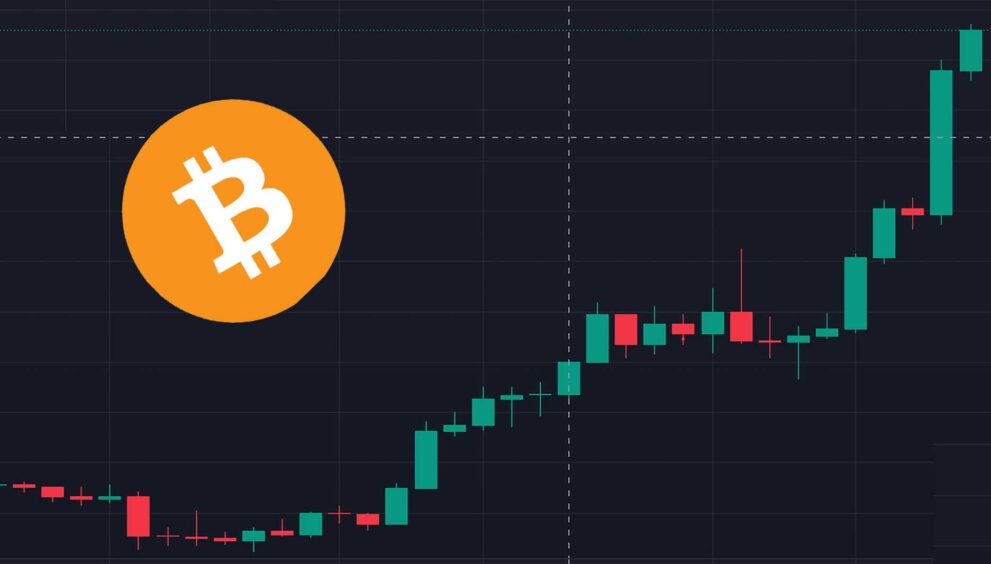 Bull run