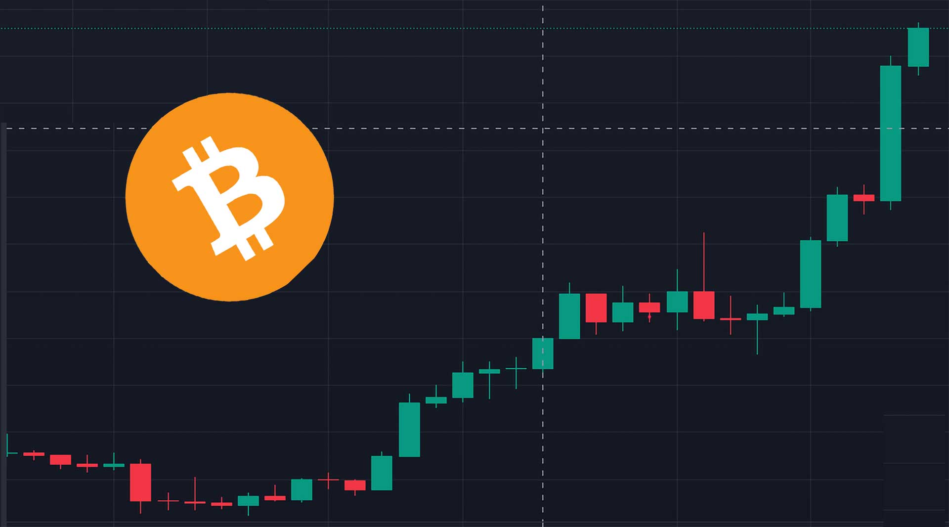Bull run