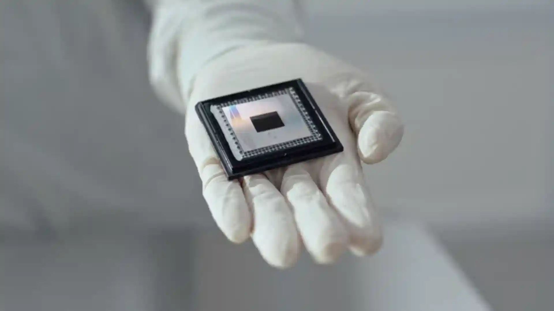 Willow. Quantum computing